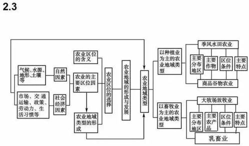 资深教师熬夜吐血整理 史地政文综三科知识思维导图，超全可打印（含网络线路综合布线视角解析）